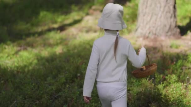 Une Jeune Fille Marchant Dans Forêt Avec Panier Cueillant Des — Video