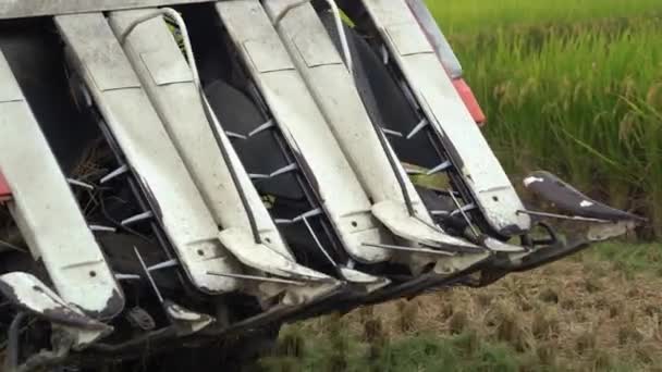 Detalles Cerca Máquina Multifuncional Tractor Cosechadora Arroz Conduciendo Través Del — Vídeos de Stock