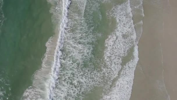 Coral Sea Waves Splashing Coast Palm Beach Gold Coast Queensland — Stockvideo