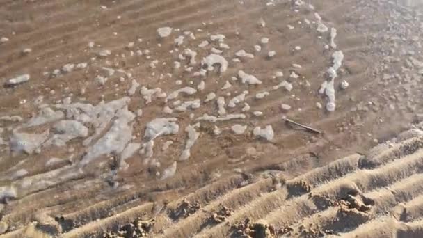 Marée Océanique Déplaçant Travers Des Crêtes Plage Sable Doré Nervuré — Video