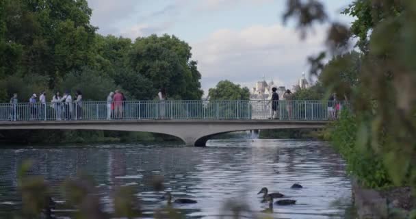 Turyści Robiący Zdjęcia Parku James Przy Stawie Centrum Londynu Cinematic — Wideo stockowe