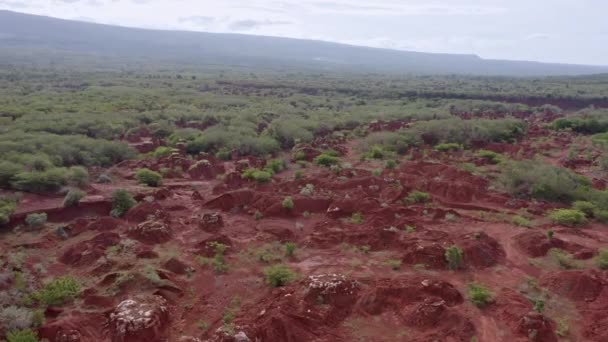 Drone View Bauxite Mining Las Mercedes Pedernales Dominican Republic — Stock Video