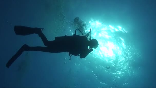 Silhouette Eines Tauchers Gegen Die Sonne Unter Der Wasseroberfläche — Stockvideo