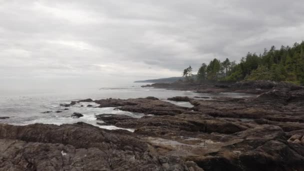 Plage Botanique Sur Côte Port Renfrew Colombie Britannique — Video