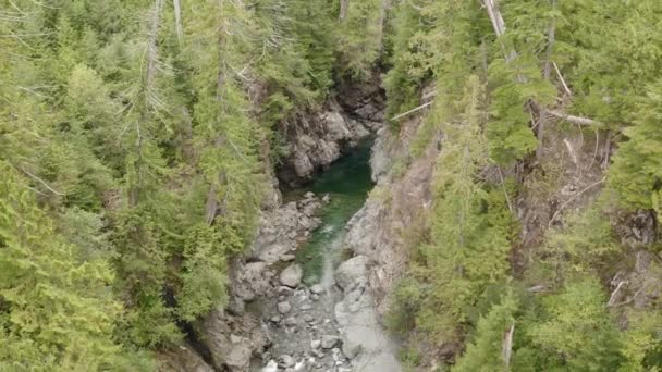 Ein Fluss Fließt Durch Eine Von Bäumen Umgebene Schlucht — Stockvideo