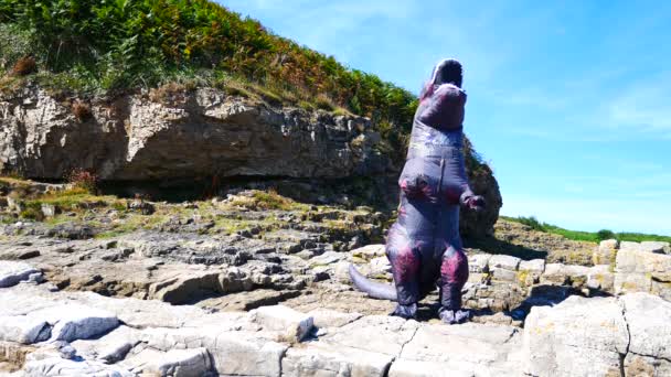 Смішний Надувний Динозавр Скелястій Міцній Береговій Лінії Махає Танцює Під — стокове відео