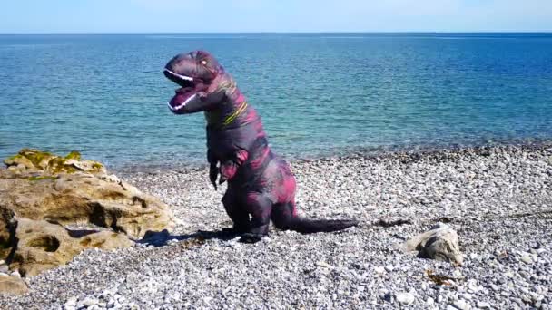 Dinosauro Gonfiabile Divertente Sulla Spiaggia Ghiaia Soleggiata Che Diverte Posare — Video Stock
