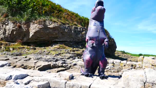 Humorvoller Aufblasbarer Dinosaurier Der Während Der Hitzewelle Felsigen Strand Steht — Stockvideo