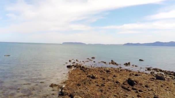 Fpv Drone Volant Côte Galloise Escarpée Rocheuse Sur Menai Strait — Video