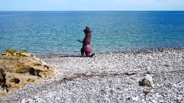 Веселий Надувний Динозавр Гальковому Пляжі Насолоджуючись Погодою Під Час Спеки — стокове відео