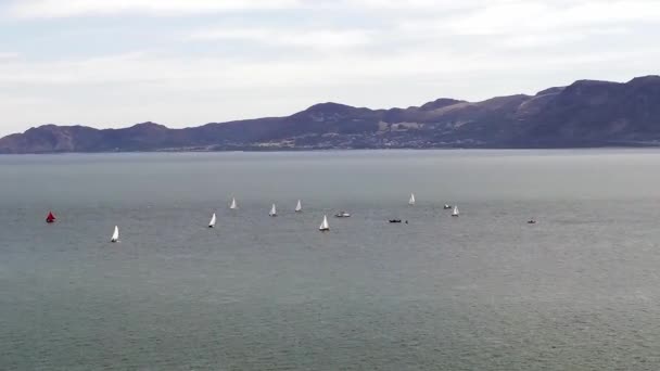 웨일스 스노도니아 아래에 메나이해협 웨일스를 순항하는 요트와 돛단배들 — 비디오