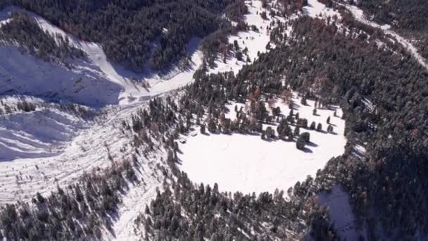 Vinter Snöig Dal Italienska Alperna Med Tallskog Antenn — Stockvideo