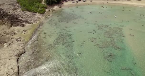 미국의 푸에르토 리코에 해변의 바다에서 수영하는 사람들을 공중에서 — 비디오