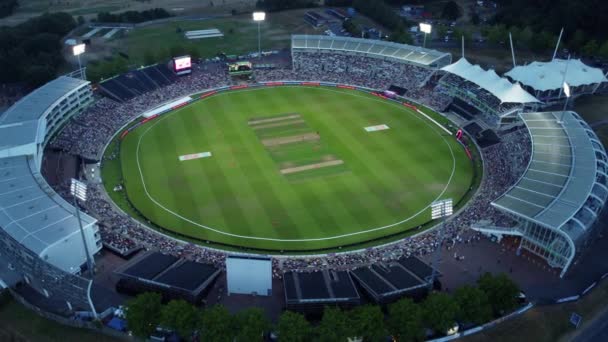 Honderd Krekel Bij Ageas Bowl — Stockvideo