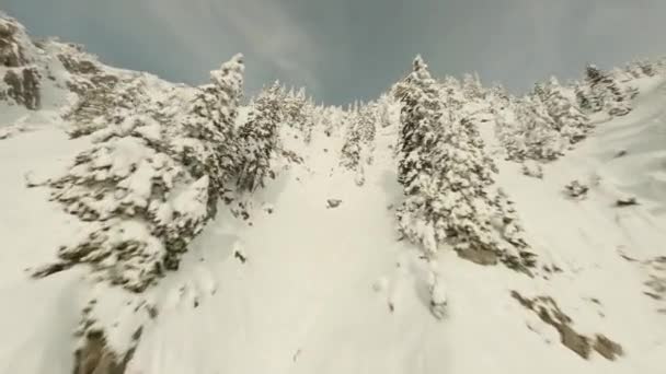 Dron Przelatujący Przez Śnieżne Drzewa Szczyt Góry Zima Strzał Bliska — Wideo stockowe