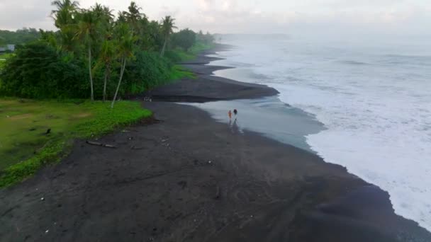 Tilting Aerial Drone Shot Two People Running Shore Black Sand — Stock Video