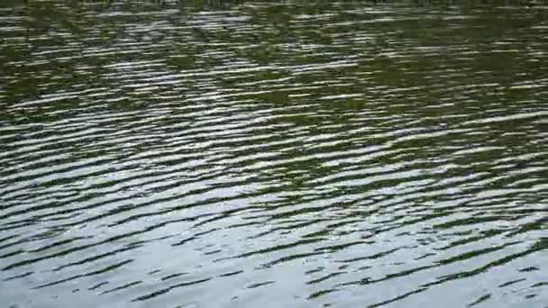 Woda Rozerwana Fala Kanale — Wideo stockowe