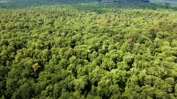 Vol Aérien Dessus Grand Marais Malheureux Dans Région Plaine Côtière — Video