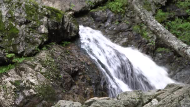 Una Magnifica Cascata Circondata Rocce Vegetazione Legno — Video Stock