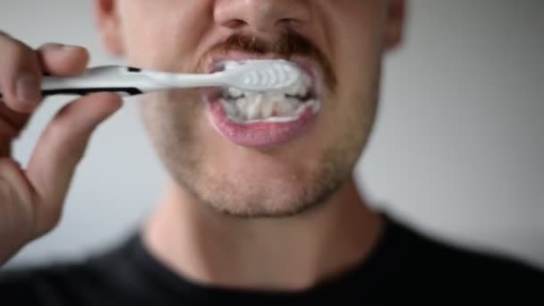 Young Caucasian Man Moustache Brushing Teeth Grey Tooth Brush Circles — Stock Video