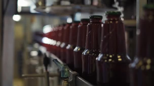 Processo Embalagem Suco Fábrica Linha Refresco Suco Engarrafado Linha Produção — Vídeo de Stock