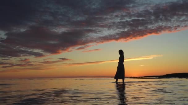 Lady Silhouet Figuur Wandelen Water Kracht Van Natuur — Stockvideo
