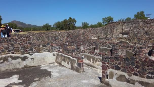パンは晴れた日にメキシコのPalenque マヤ遺跡Chiapasの風化した石の壁に撃たれました — ストック動画