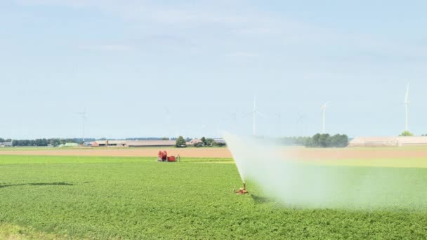 Sistema Irrigação Agrícola Pulverizando Água Sobre Culturas Países Baixos — Vídeo de Stock