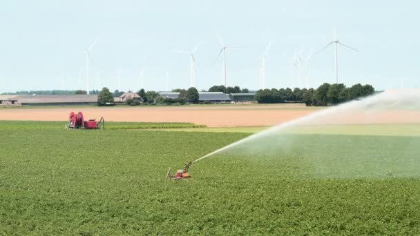 Sistema Riego Agrícola Rociando Agua Sobre Cultivos Aerogeneradores Fondo Cámara — Vídeos de Stock