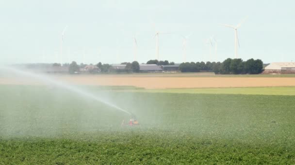 Rolniczy System Nawadniania Opryskujący Wodą Uprawy Turbiny Wiatrowe Tle Slow — Wideo stockowe
