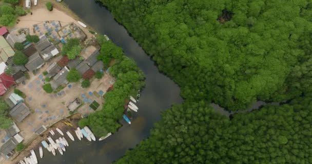 Lidský Vliv Kontrast Mangrovový Les Malou Vesnicí Obklopenou Bujnou Zelení — Stock video