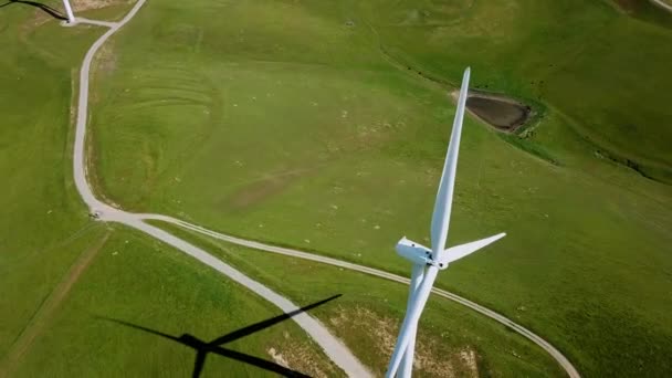 Rüzgâr Gücü Türbini Yaz Yeşili Tarlasında Hava Görüntüsü Ters Yönde — Stok video