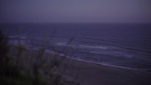 Uklidňující Vlny Havárie Pláži Během Tmavé Noci Zatímco Netopýr Letí — Stock video