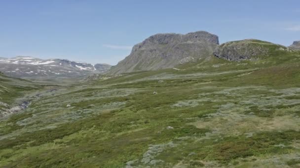 Naturalny Zielony Krajobraz Widokiem Majestatyczną Wyżynę Królestwie Norwegii Strzał Drona — Wideo stockowe