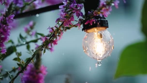 Slowmotion Klipp Kraftigt Regn Droppe Över Liten Lampa Utanför Närbild — Stockvideo