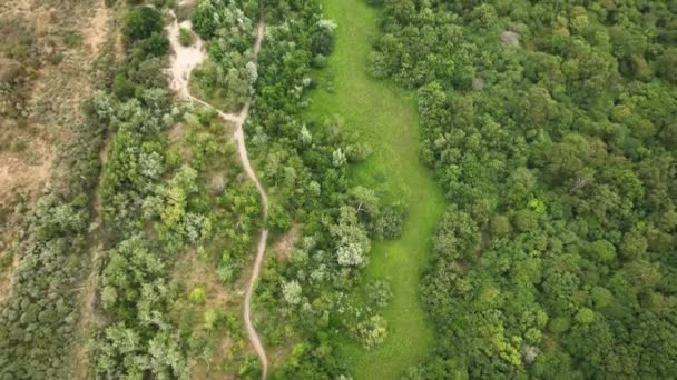 Sentier Pédestre Travers Forêt Feuillue Dedicuous Long Une Prairie Luxuriante — Video