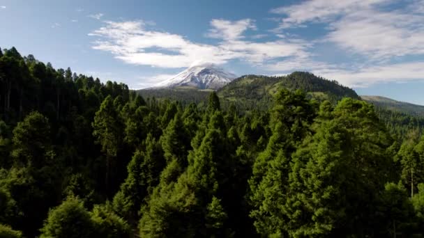 Zdjęcia Drona Pokazujące Śnieżny Szczyt Wulkanu Popocatepetl Meksyku Bujne Lasy — Wideo stockowe