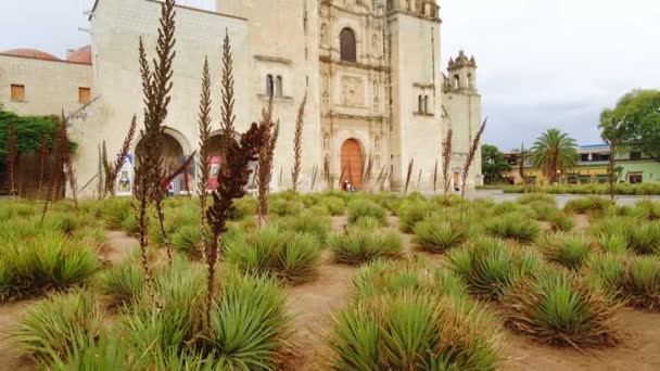 Церковь Монастырь Санто Доминго Гузмн Городе Оахака Журес Мексика — стоковое видео