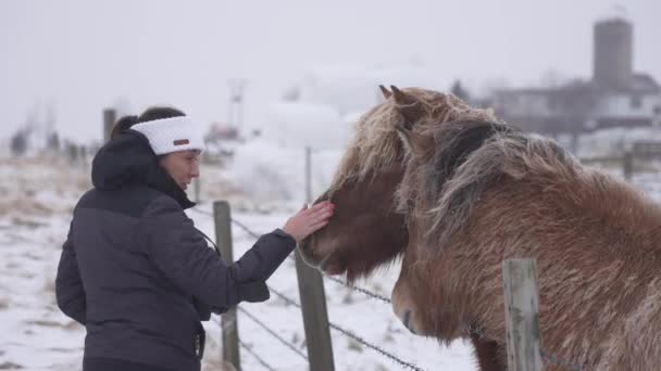 Vrouw Die Ijslandse Paarden Aanraakt Ijsland — Stockvideo