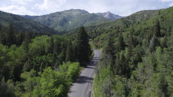 Estrada Cênica American Fork Canyon Cortando Através Exuberante Floresta Verde — Vídeo de Stock