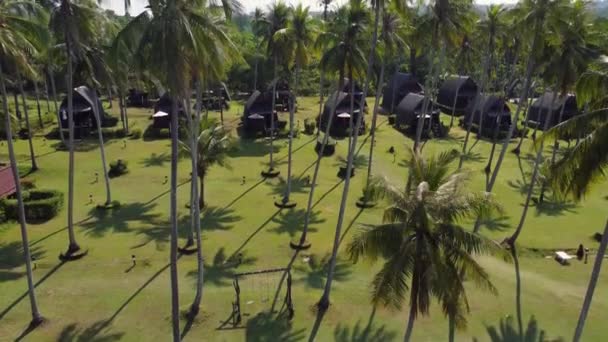 Tiro Dron Impresionante Tropical Resort Con Palmeras Encantadores Bungalows Día — Vídeos de Stock
