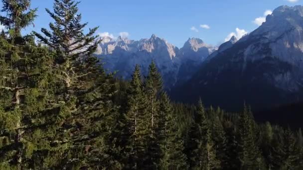 Létání Blízkosti Borovic Krásném Údolí Dolomitech Vynikajícím Výhledem Hory Skalní — Stock video