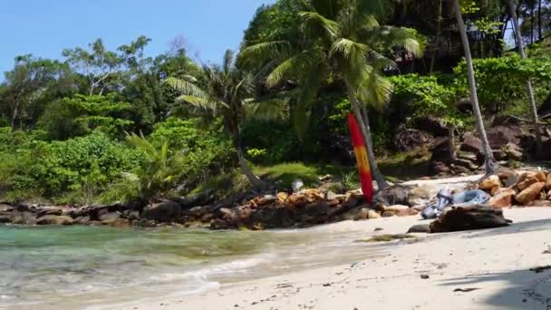 Video Una Playa Tropical Rodeada Palmeras Olas Del Mar Ubicada — Vídeo de stock
