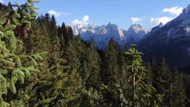 Shot Dolomites Flying Drone Impressive Mountains Rock Formations Passing Forest — Stock Video