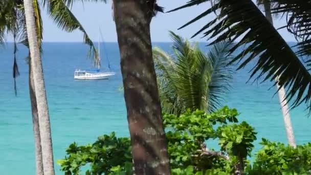 Piękne Ujęcie Morza Tajlandii Palmami Pierwszym Planie Żaglówką Tle Azji — Wideo stockowe
