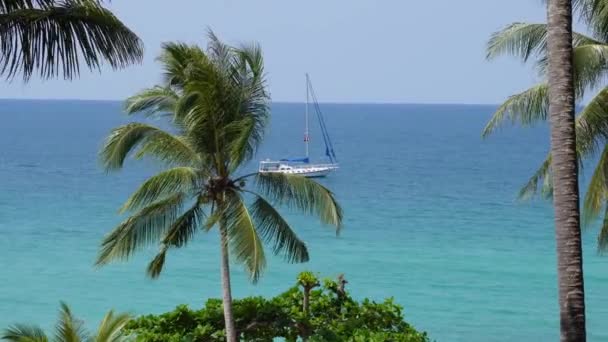 Piękne Ujęcie Palmy Uroczej Żaglówki Tle Widokiem Morze Tajlandii Azji — Wideo stockowe