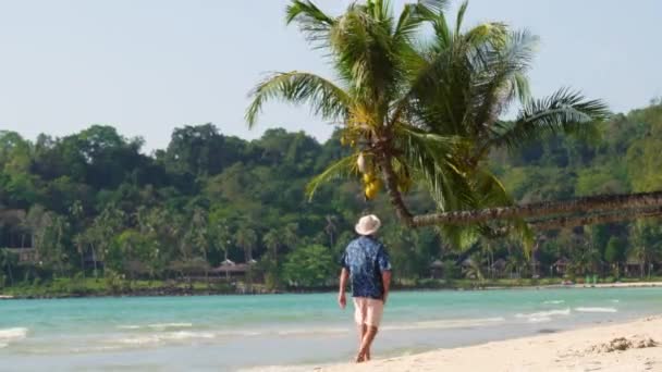 Человек Идет Пальмой Потрясающему Тропическому Пляжу Ясный Синий День Расположенный — стоковое видео