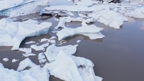 Fjallsrin冰川褐色水湖中融化的冰山 与游客一起乘船游览 空中游览 — 图库视频影像