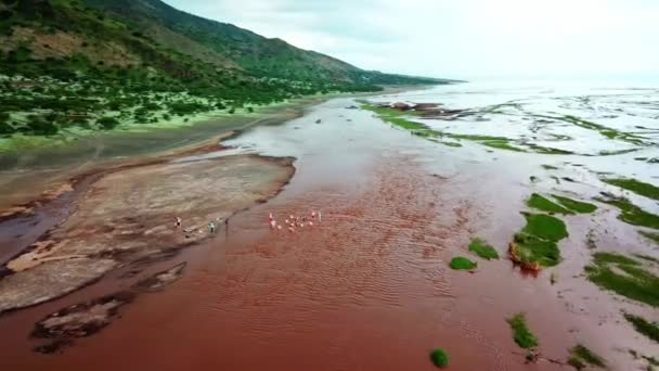 Lago Natrón Tanzania Con Gente Nadando Agua Tiro Aéreo Con — Vídeos de Stock