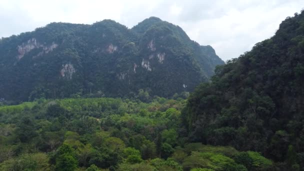 Drone Aereo Della Giungla Formazioni Rocciose Paesaggio Del Khao Sok — Video Stock